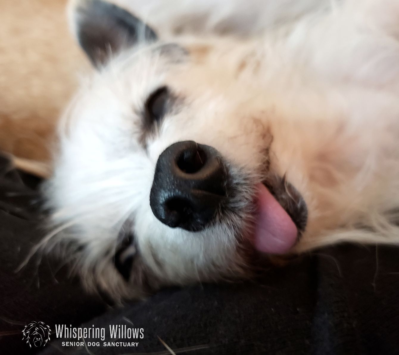 About the Pocket Full of Sunshine!  campaign on Bonfire 8