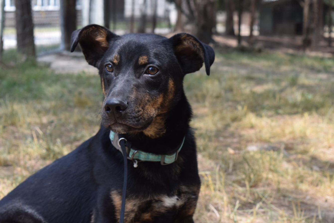 About the  campaign on Bonfire 3