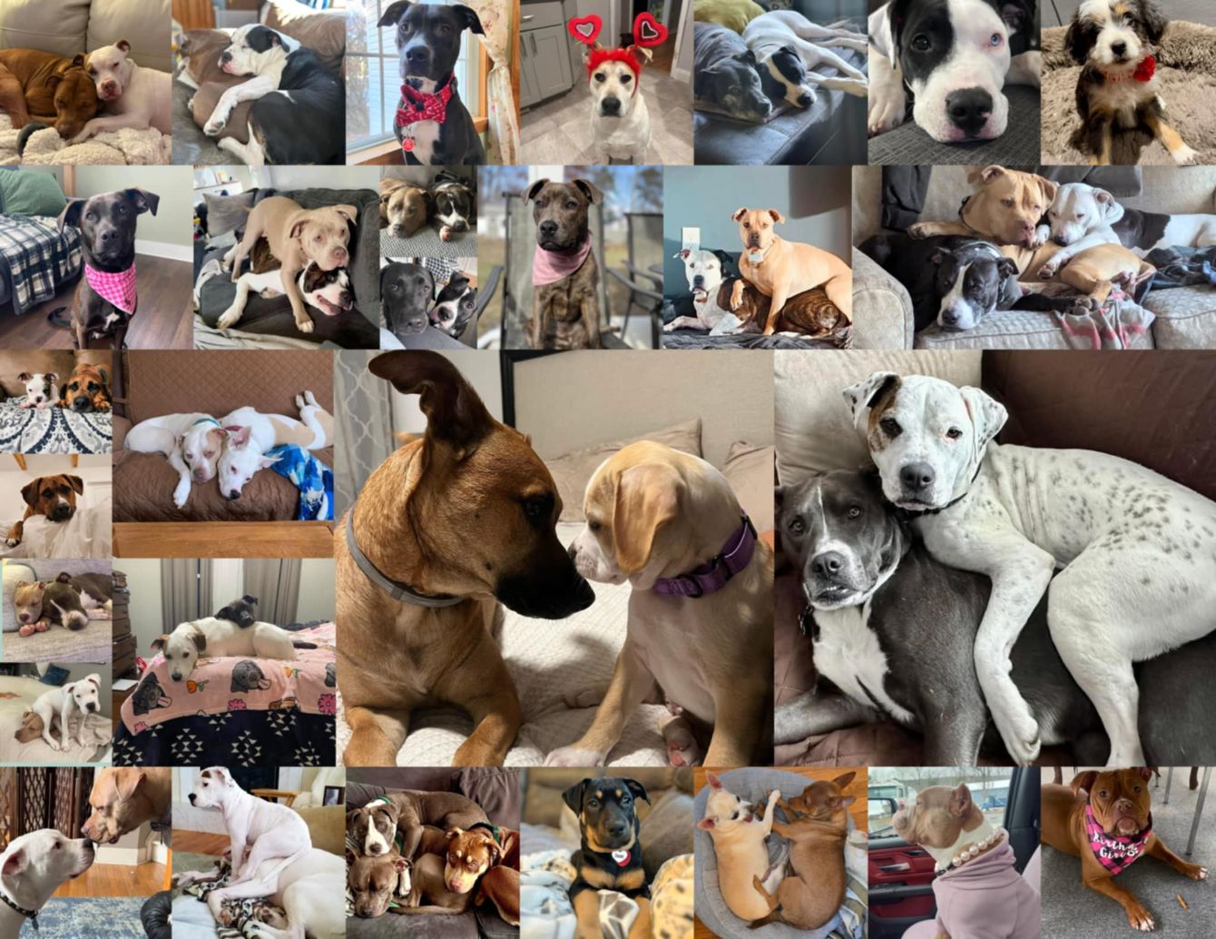 About the Fighting the Stigma campaign on Bonfire 2