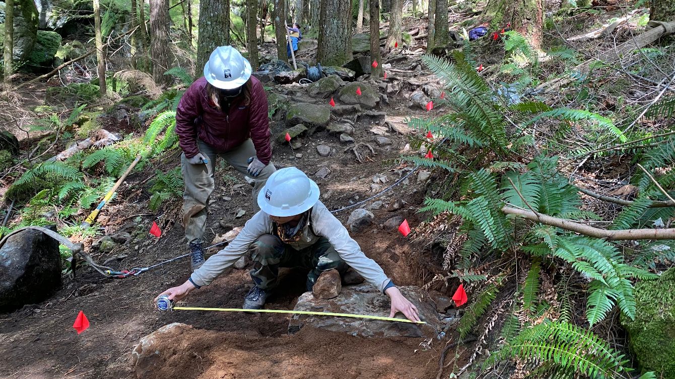 About the Wild & Scenic campaign on Bonfire 4