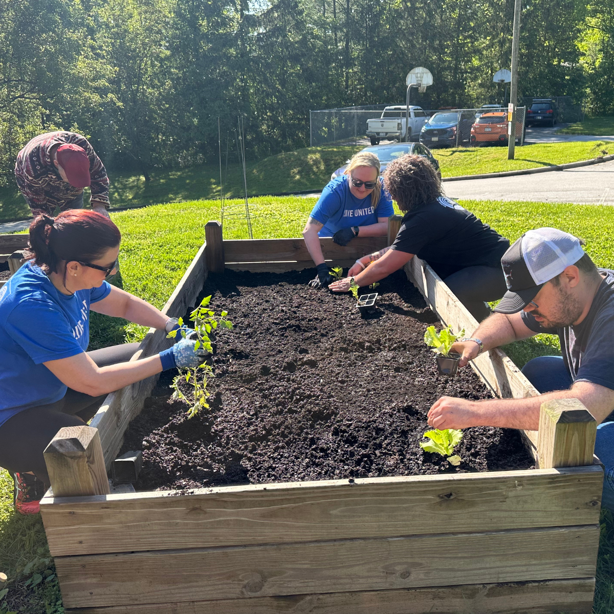 About the Thrive Sprout Shirt campaign on Bonfire 2