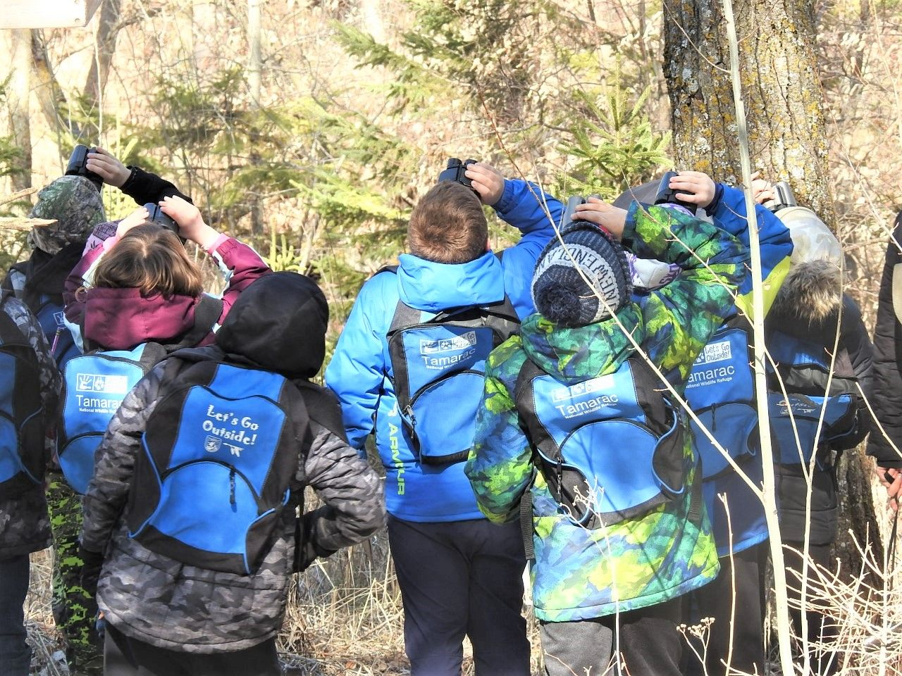 About the Detroit Lakes Festival of Birds campaign on Bonfire 2