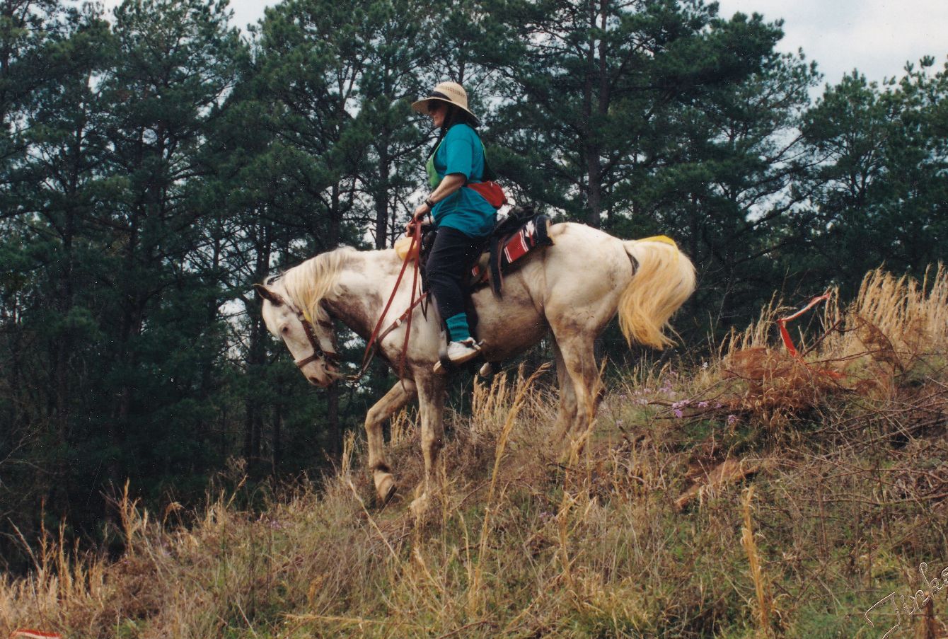 About the Horse of the Americas - Choctaw Sun Dance campaign on Bonfire 2