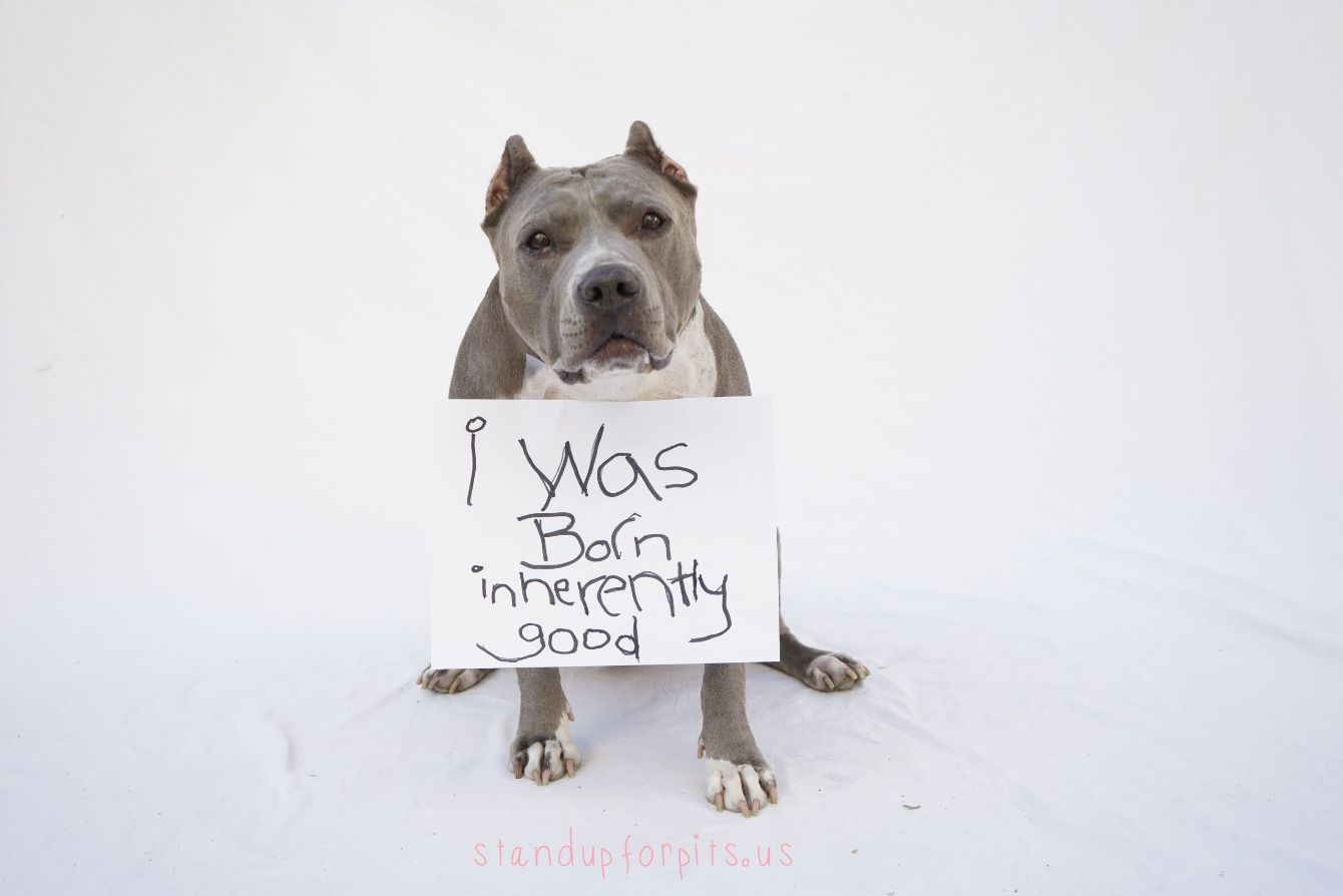 About the Educate mug campaign on Bonfire 2