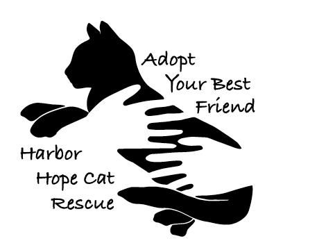 About the  campaign on Bonfire 2