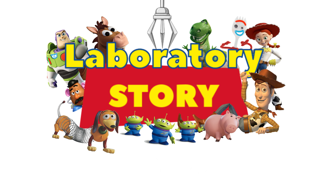 About the Laboratory campaign on Bonfire 2