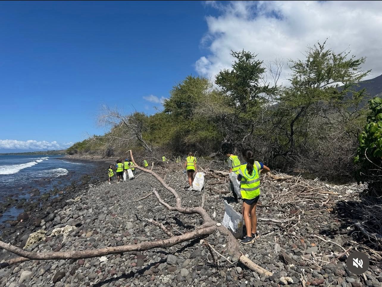 About the GUARDIANS OF OUR OCEANS campaign on Bonfire 1