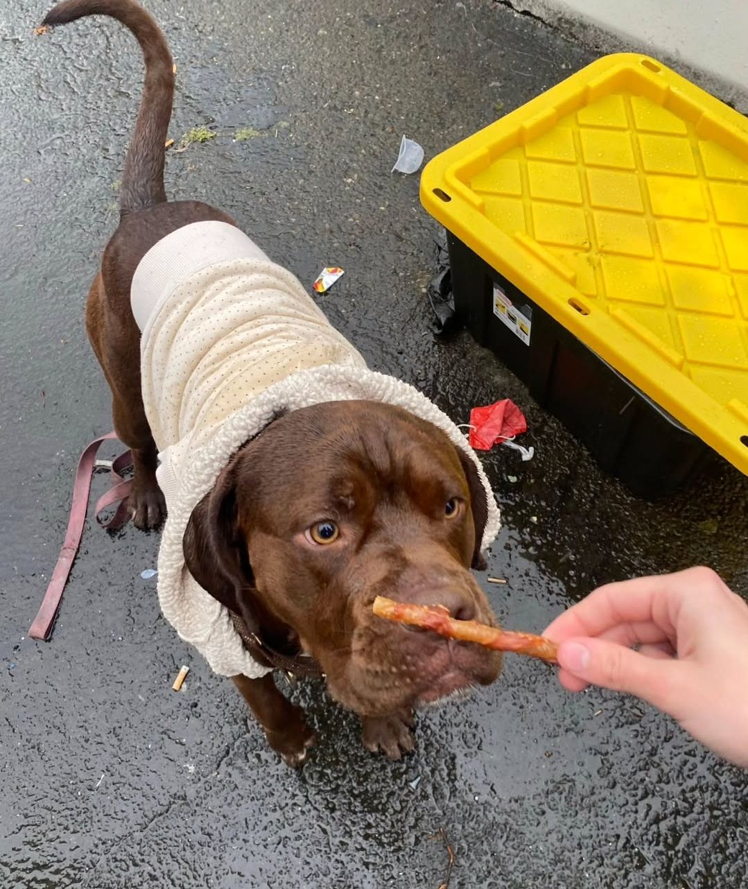 About the  campaign on Bonfire 3