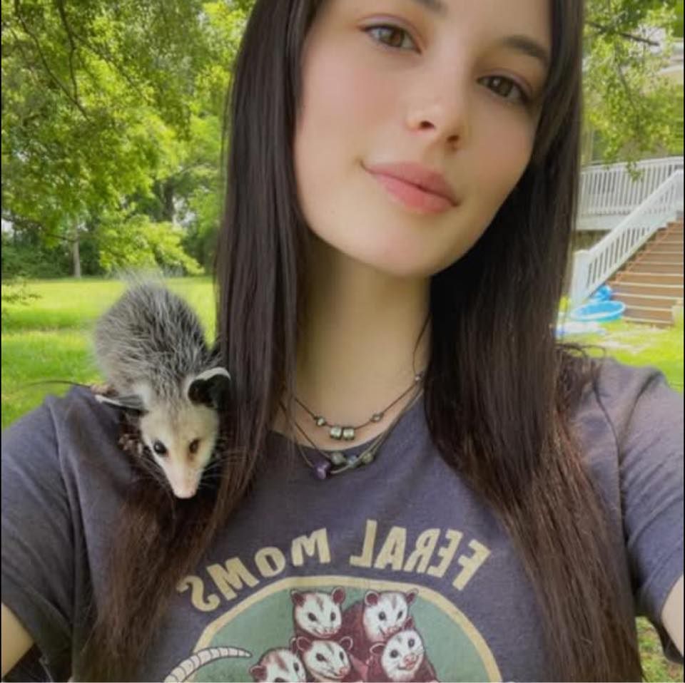 About the  campaign on Bonfire 2