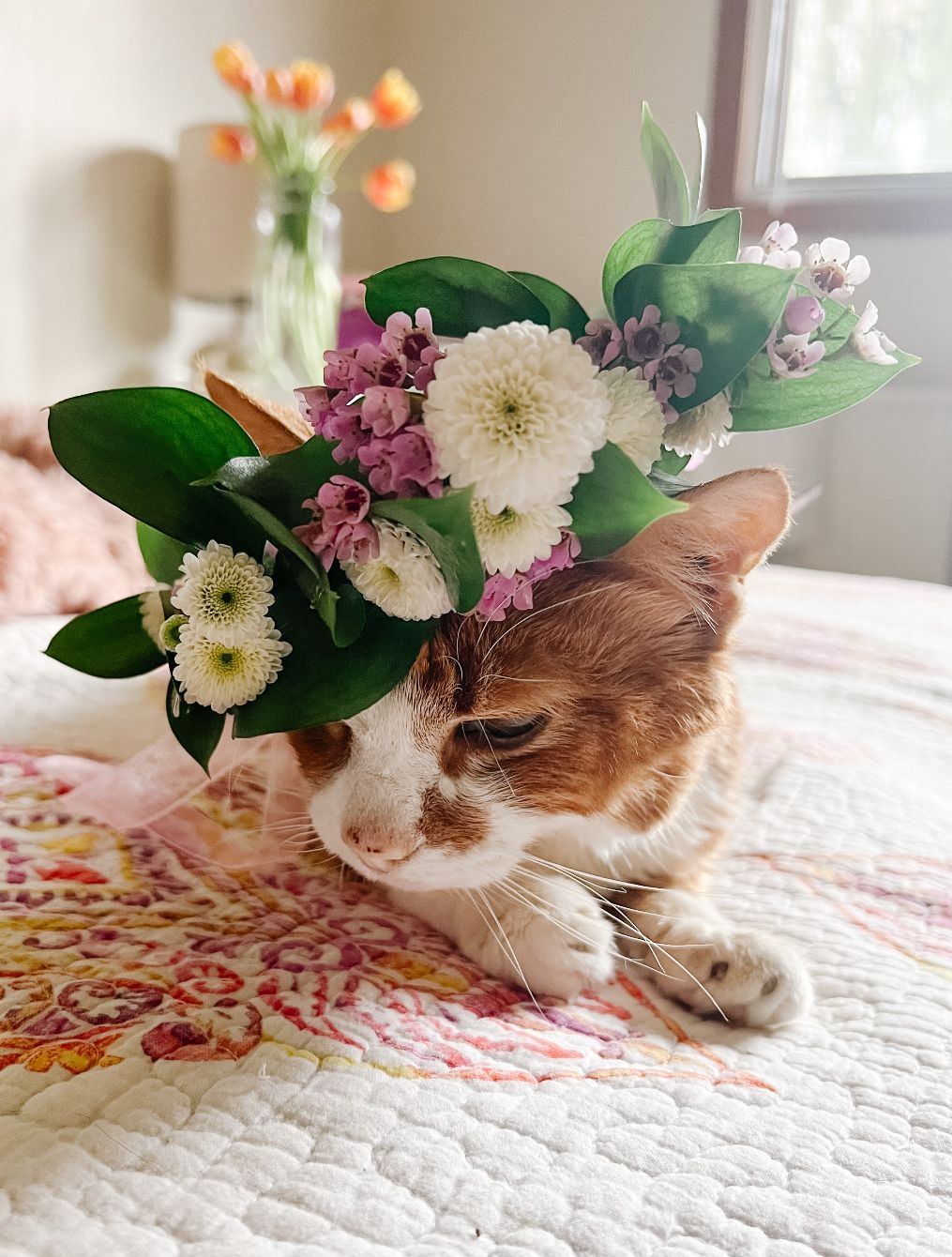 About the Chloe's Legacy campaign on Bonfire 4