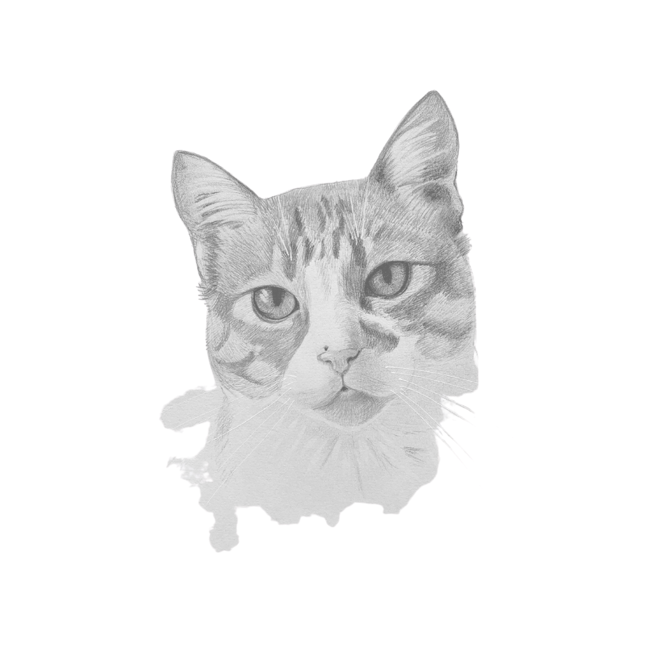 About the Chloe's Legacy campaign on Bonfire 3