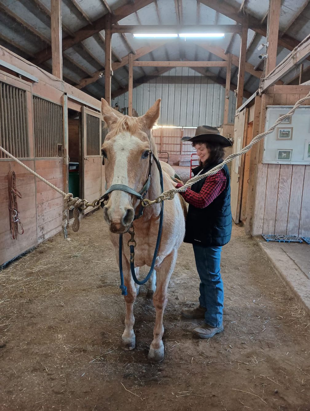 About the Hat for Horses campaign on Bonfire 2