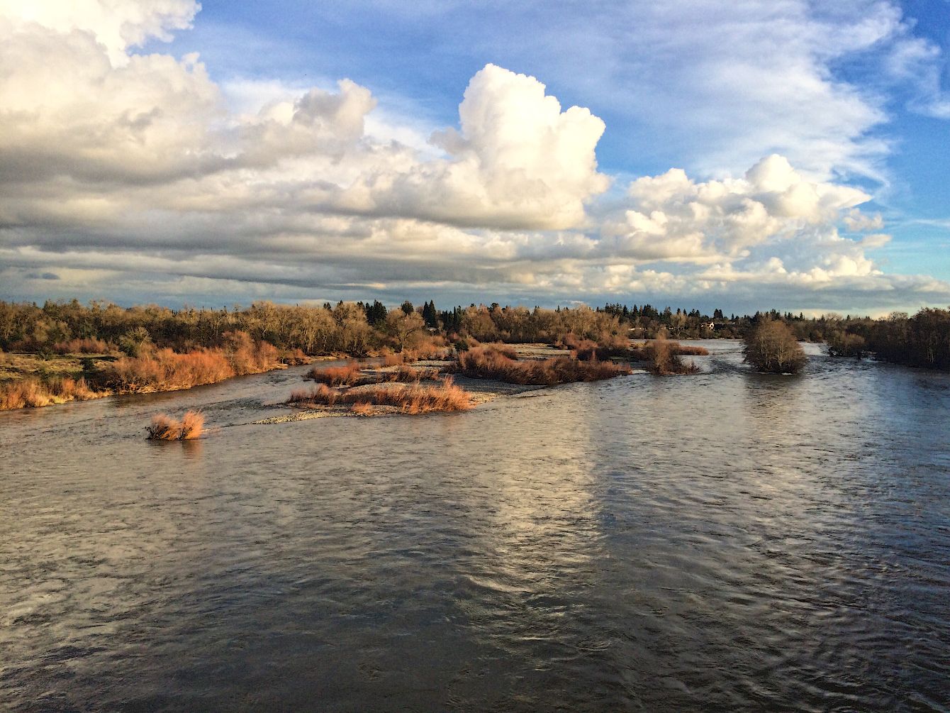 About the  campaign on Bonfire 2