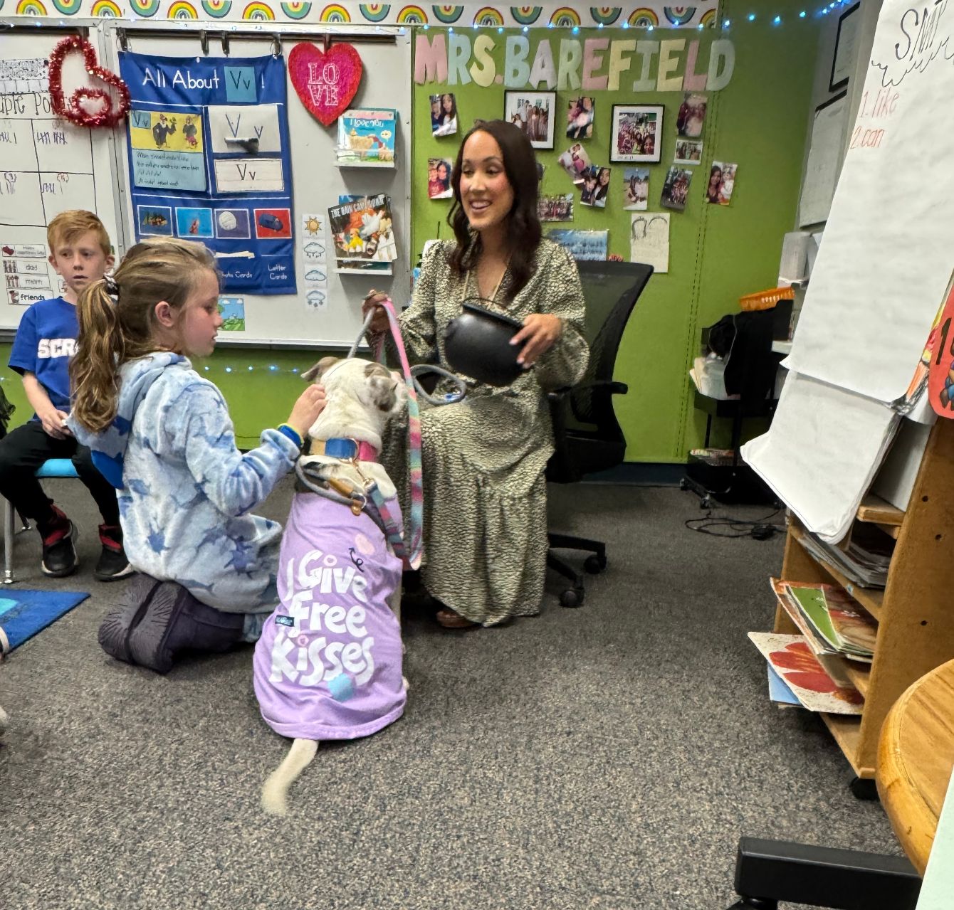 About the Rescue, Rehab, Rehome campaign on Bonfire 2