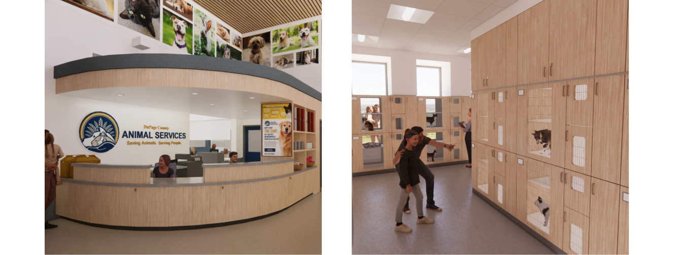 About the Foster, Adopt, Rescue & Advocate campaign on Bonfire 2