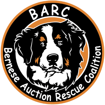 About the Halloween BARC Mug campaign on Bonfire 2