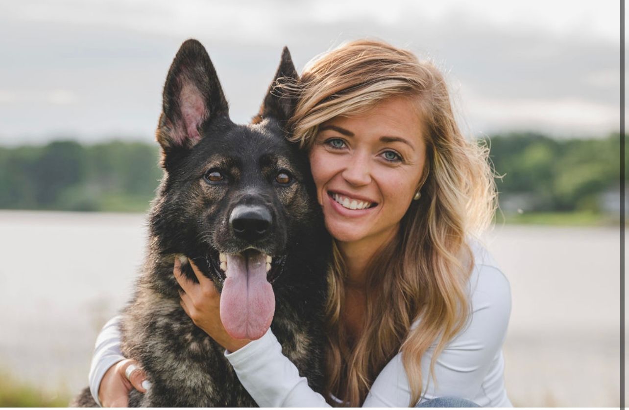 About the  campaign on Bonfire 2