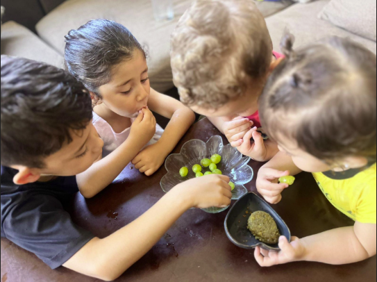 About the Help Gazan Families escape to Canada campaign on Bonfire 16