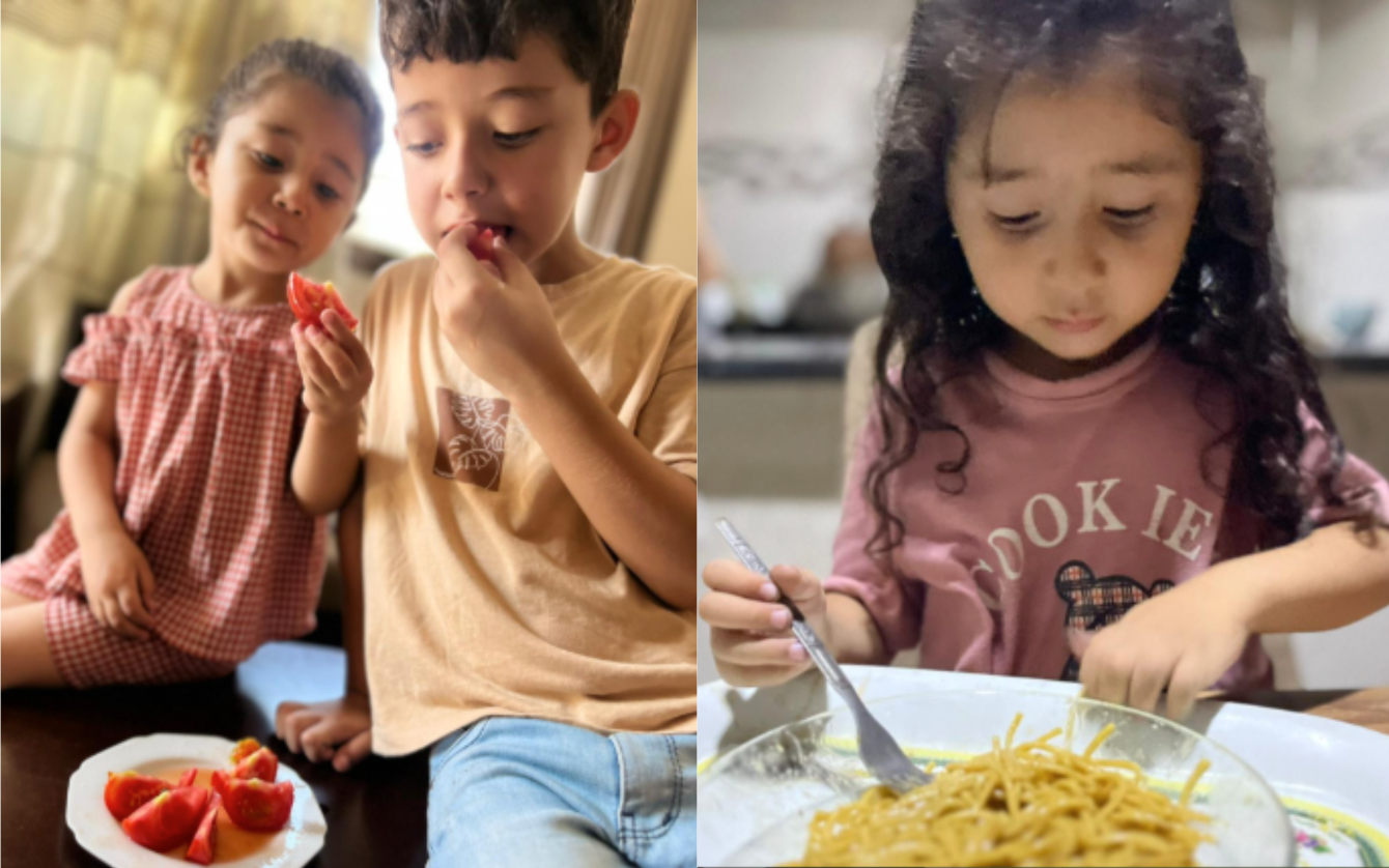 About the Help Gazan Families escape to Canada campaign on Bonfire 12