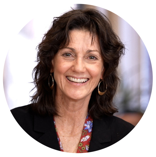 About the  campaign on Bonfire 2