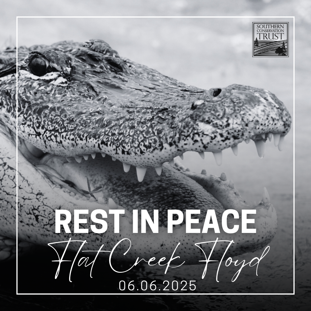 About the Honoring Floyd. Protecting Habitats campaign on Bonfire 2