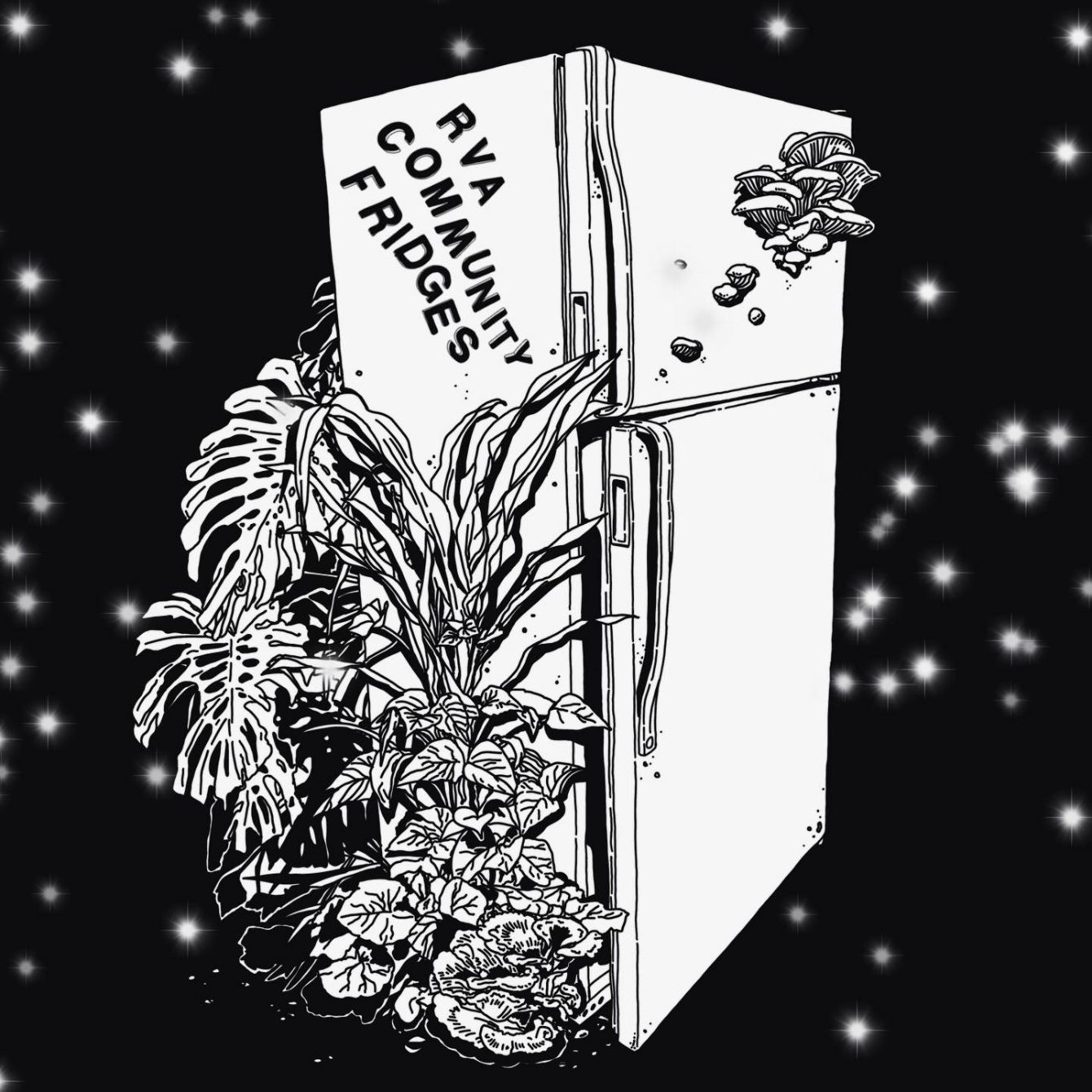 About the RVACF ?Nature?s Bounty? tote campaign on Bonfire 2