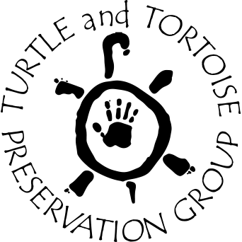 About the  campaign on Bonfire 2