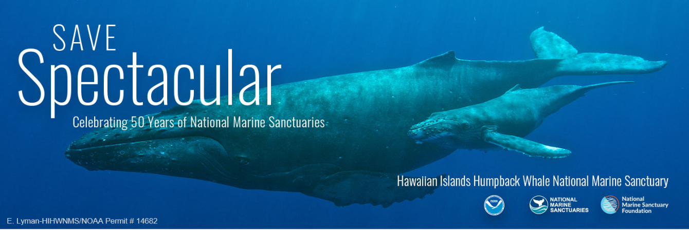 About the 2026 Sanctuary Ocean Count campaign on Bonfire 4