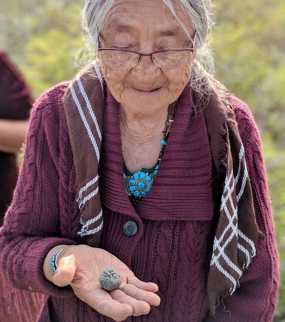 About the Planting Seeds Of Sovereignty campaign on Bonfire 4