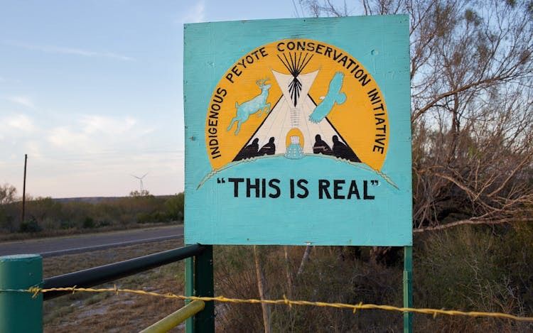 About the Planting Seeds Of Sovereignty campaign on Bonfire 8