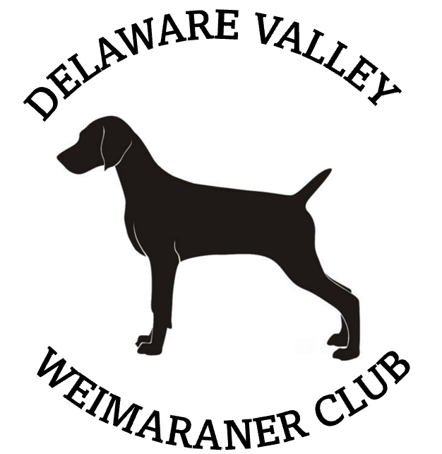 About the Delaware Valley Weimaraner Club campaign on Bonfire 4
