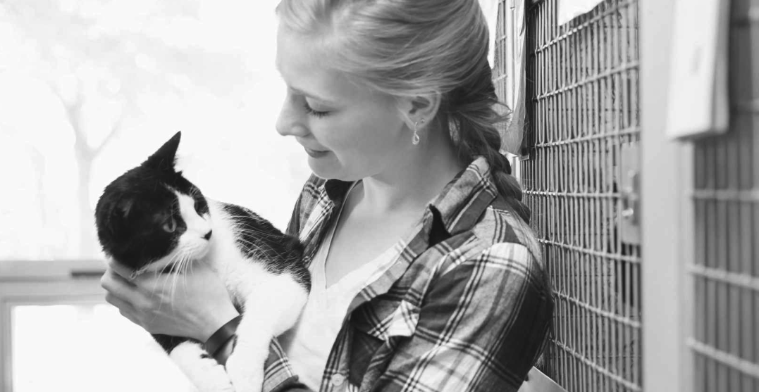 About the For Kitty's Sake Fundraiser campaign on Bonfire 2