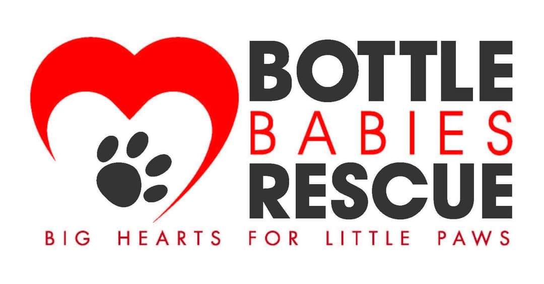Bottle Babies Rescue Bonfire