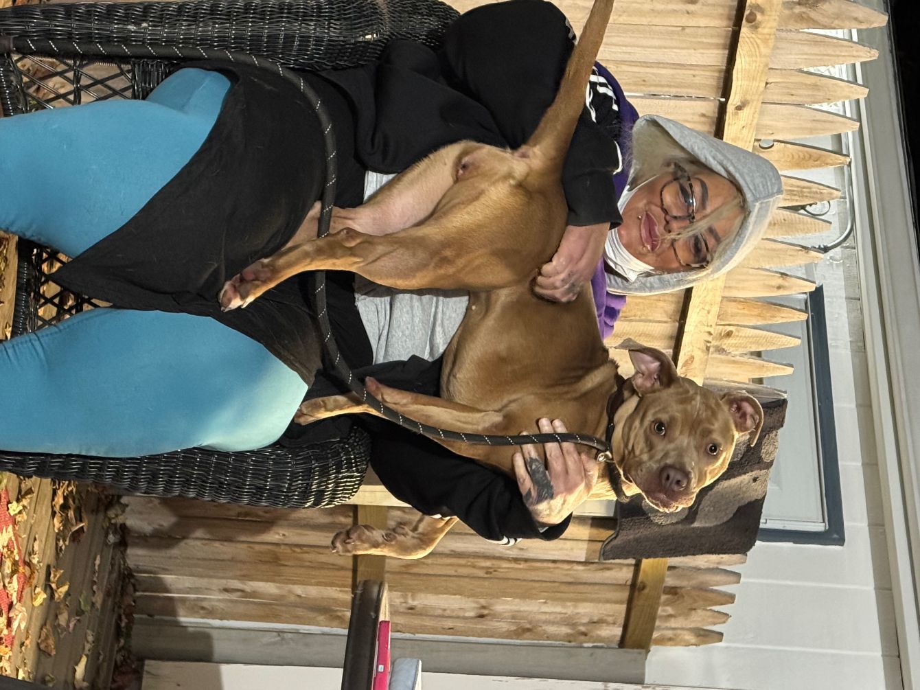 About the Medical Funds campaign on Bonfire 3