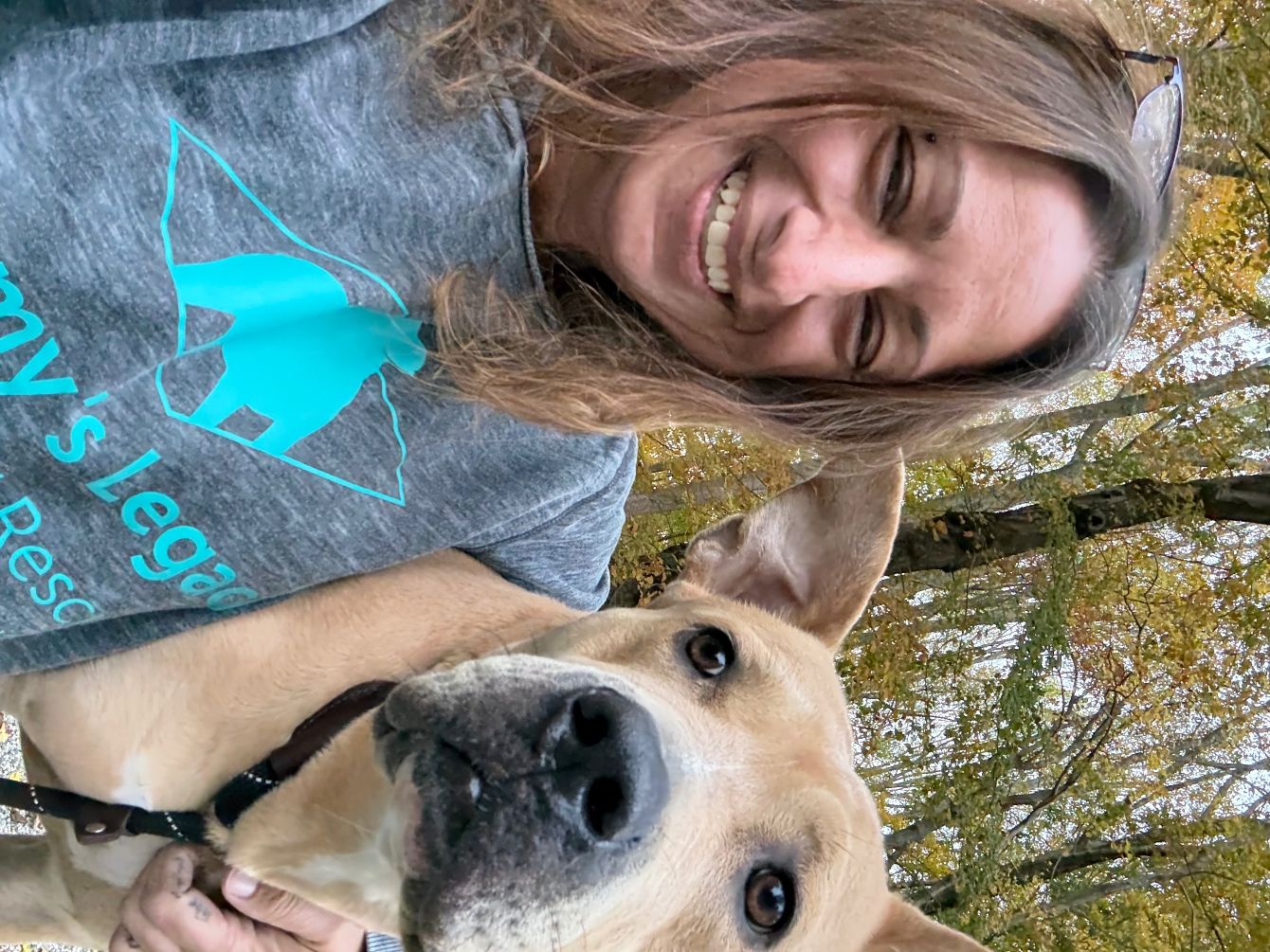 About the Medical Funds campaign on Bonfire 2