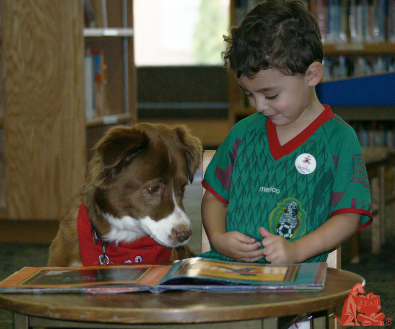 About the Easily Distracted by Dogs & Books campaign on Bonfire 2
