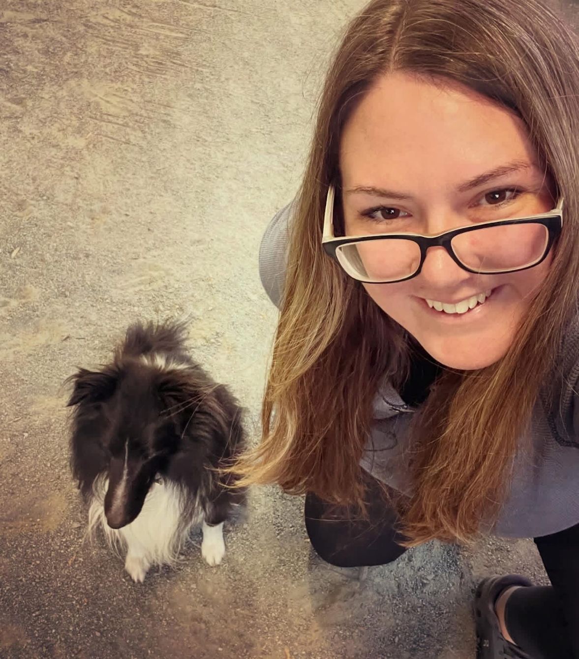 About the Strider is going to Brazil! campaign on Bonfire 2