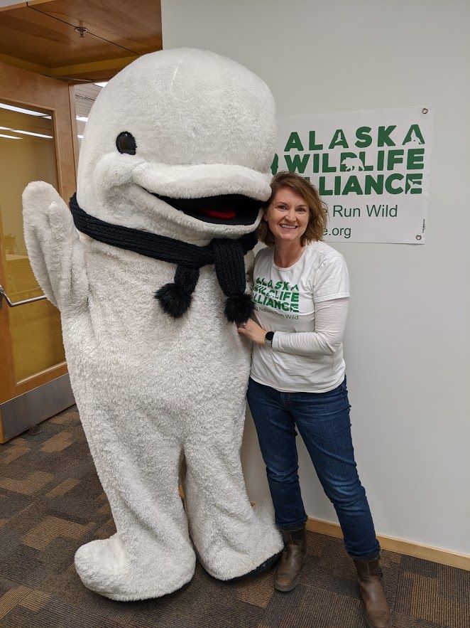 About the Help Alaska's wildlife stay wild campaign on Bonfire 4