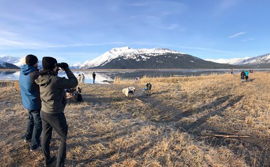 About the Help Alaska's wildlife stay wild campaign on Bonfire 6
