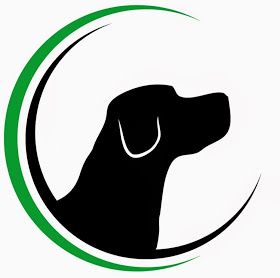 About the Lab Glitter campaign on Bonfire 2