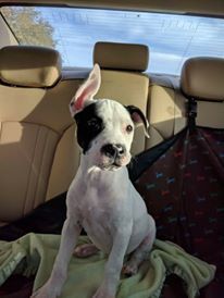 About the Double Trouble on a Shirt! campaign on Bonfire 3