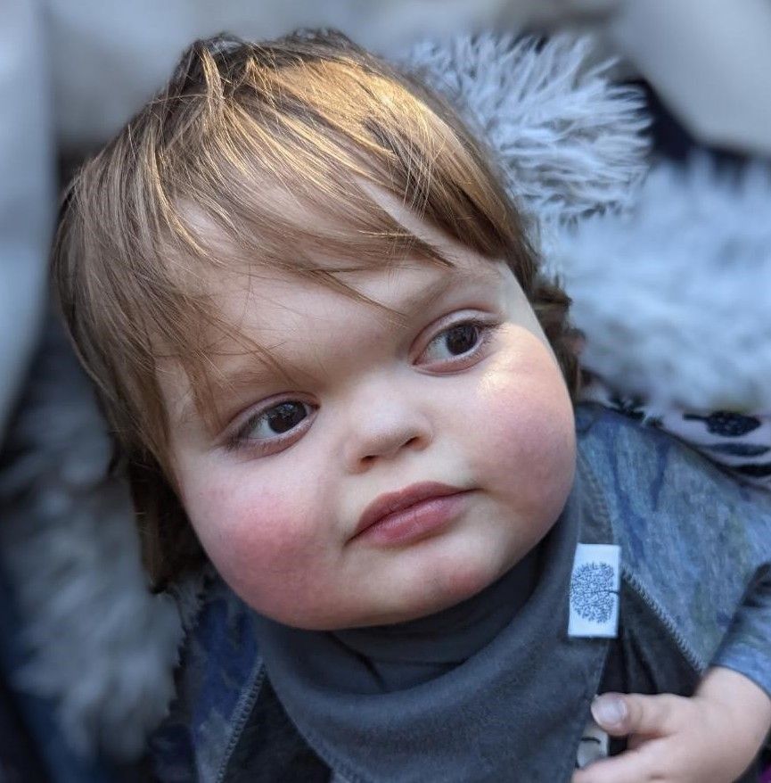 About the Finian Summit Foundation Inc campaign on Bonfire 2