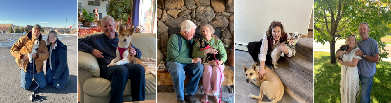 About the Official CCFR Shirts/Sweatshirts/Youth Tees campaign on Bonfire 2