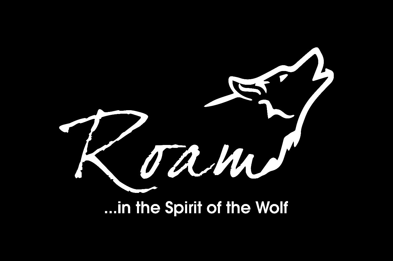 About the Roam Logo Attire campaign on Bonfire 2