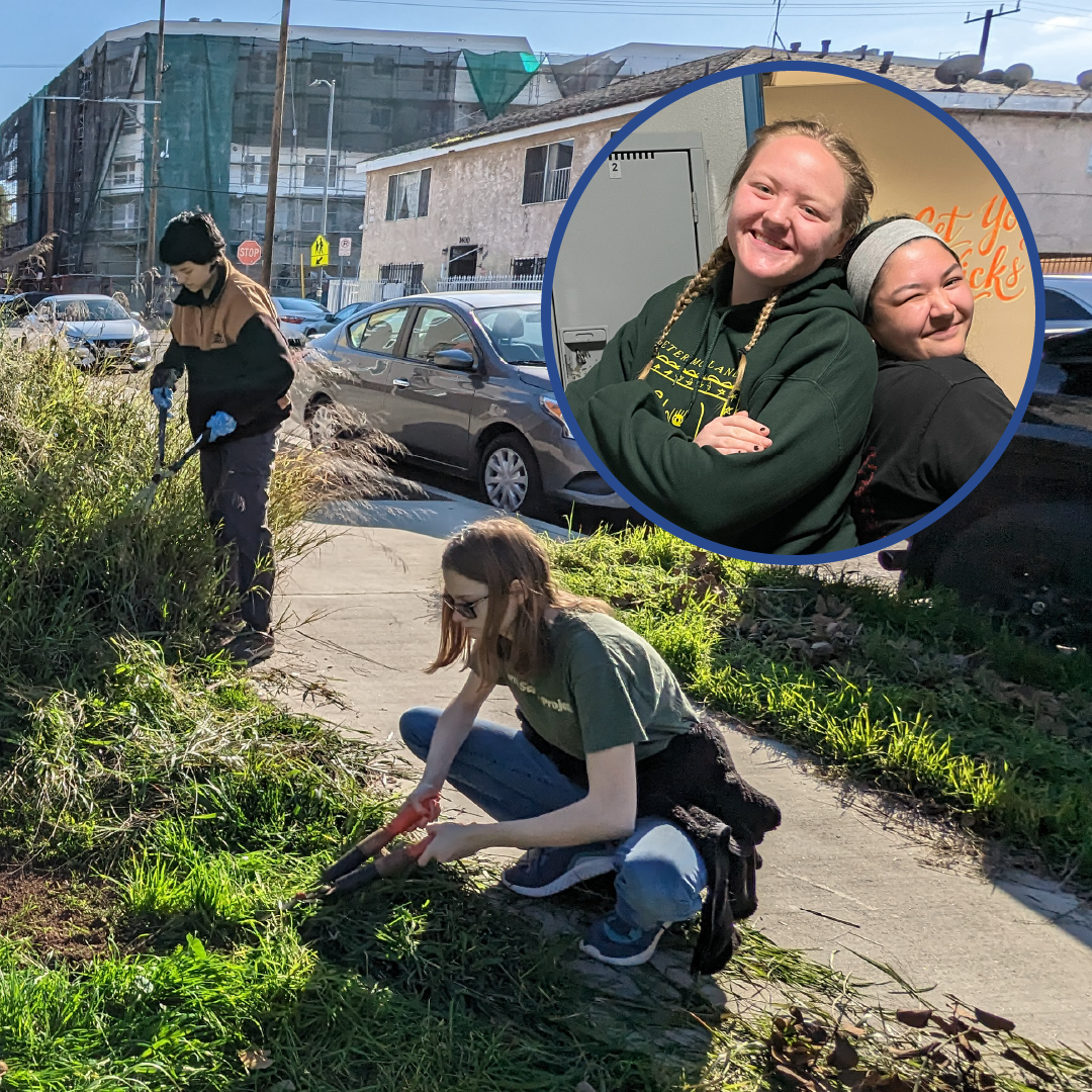 About the Youth Advisory Council Fundraiser campaign on Bonfire 8