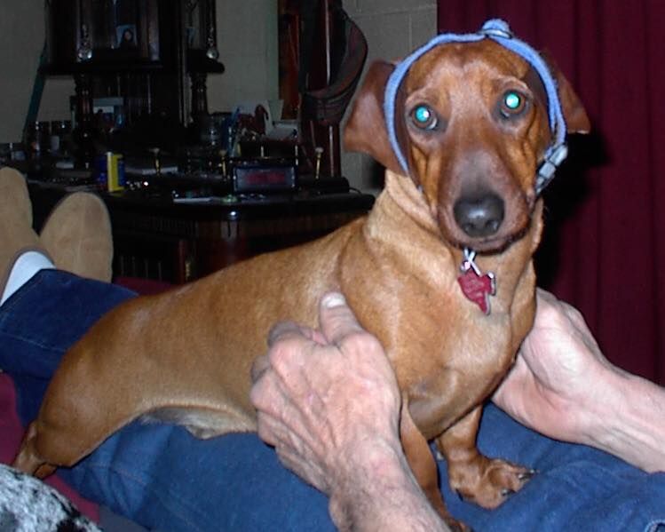 About the 22nd Anniversary Tee - Andre campaign on Bonfire 2