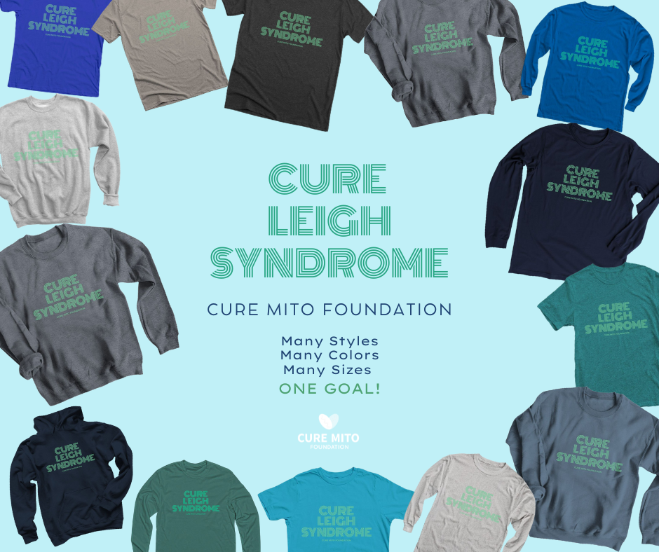 About the  campaign on Bonfire 2