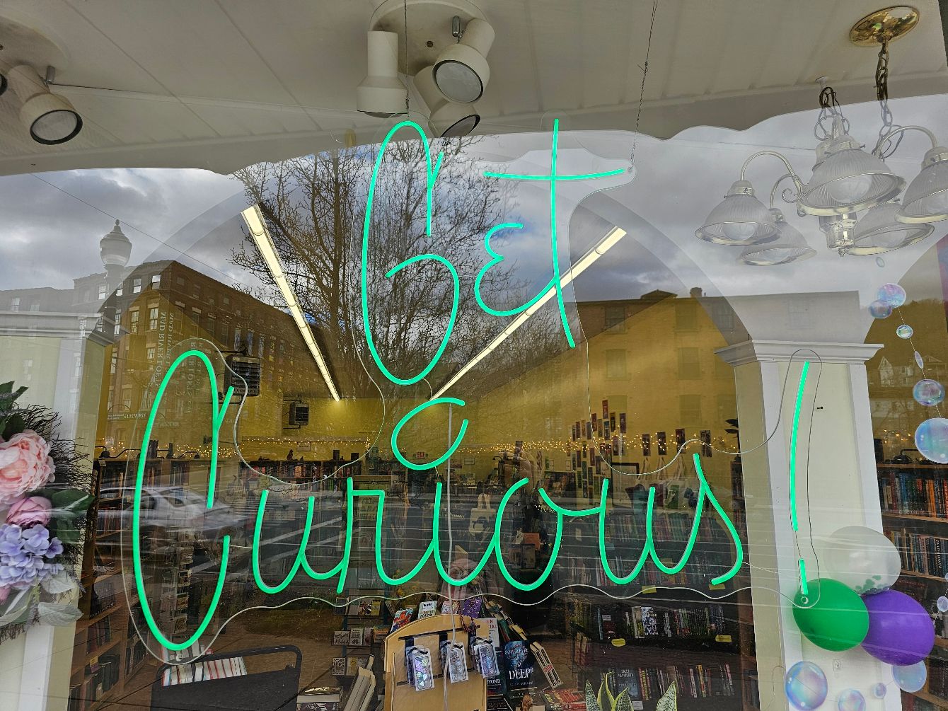 About the The Curious Cat Bookshop campaign on Bonfire 0