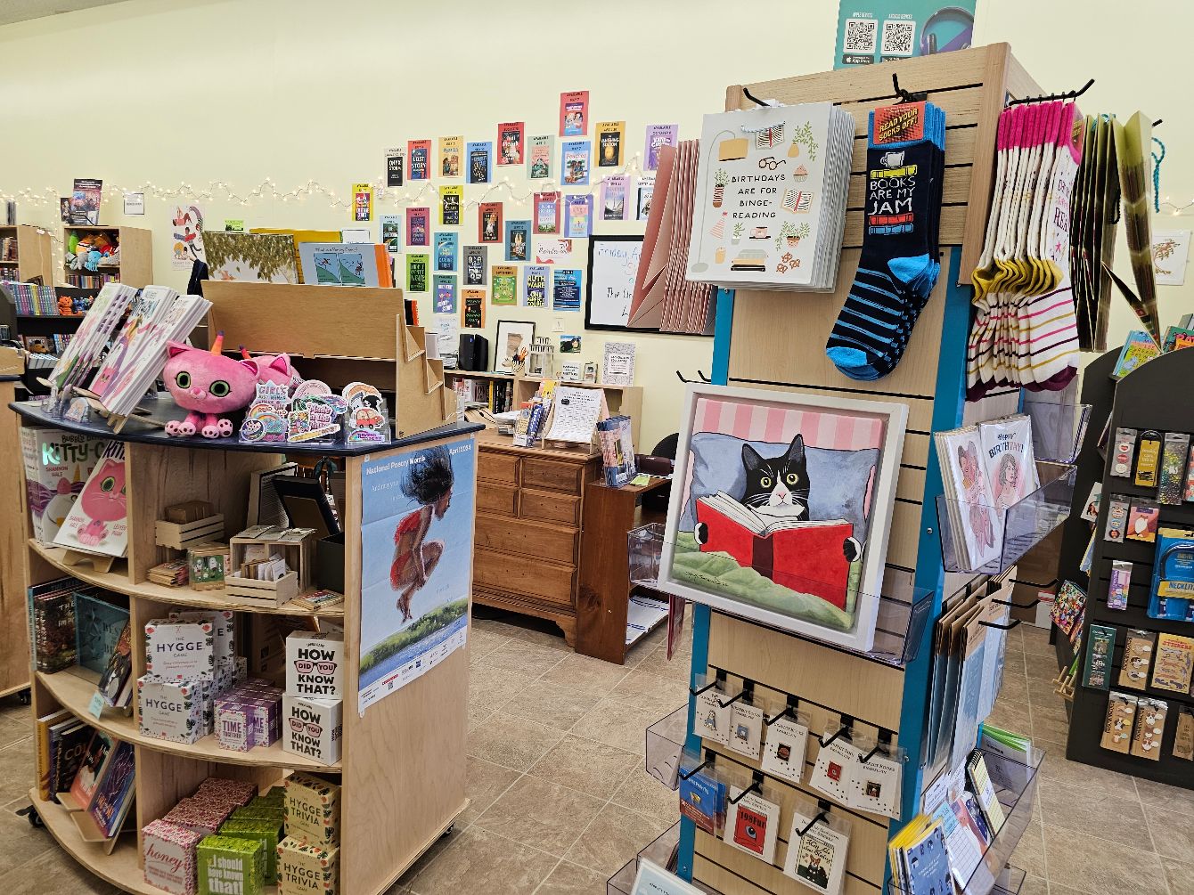 About the The Curious Cat Bookshop campaign on Bonfire 5