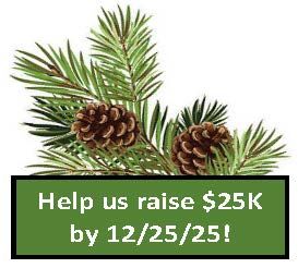 About the DRBA Winter Threads Turtle campaign on Bonfire 1